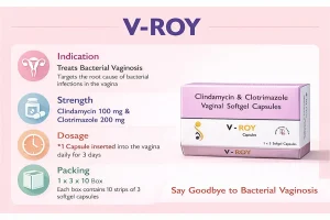 V - ROY